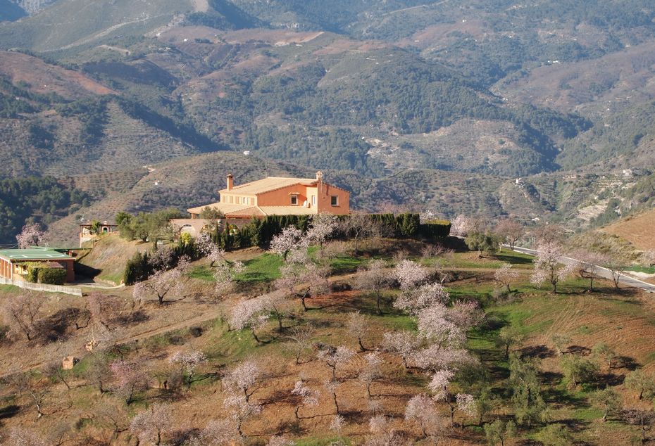 La magia del campo andaluz. 
Envie mail a montse453@gmail.com para más info
