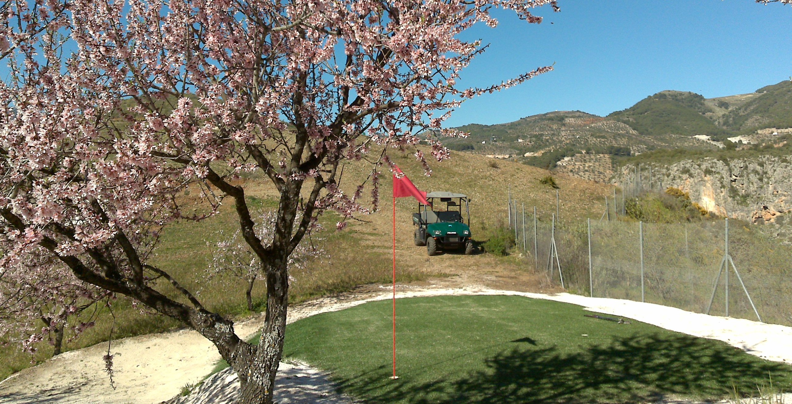 Una experiencia únca el poder jugar al golf rodeado de árboles locales.